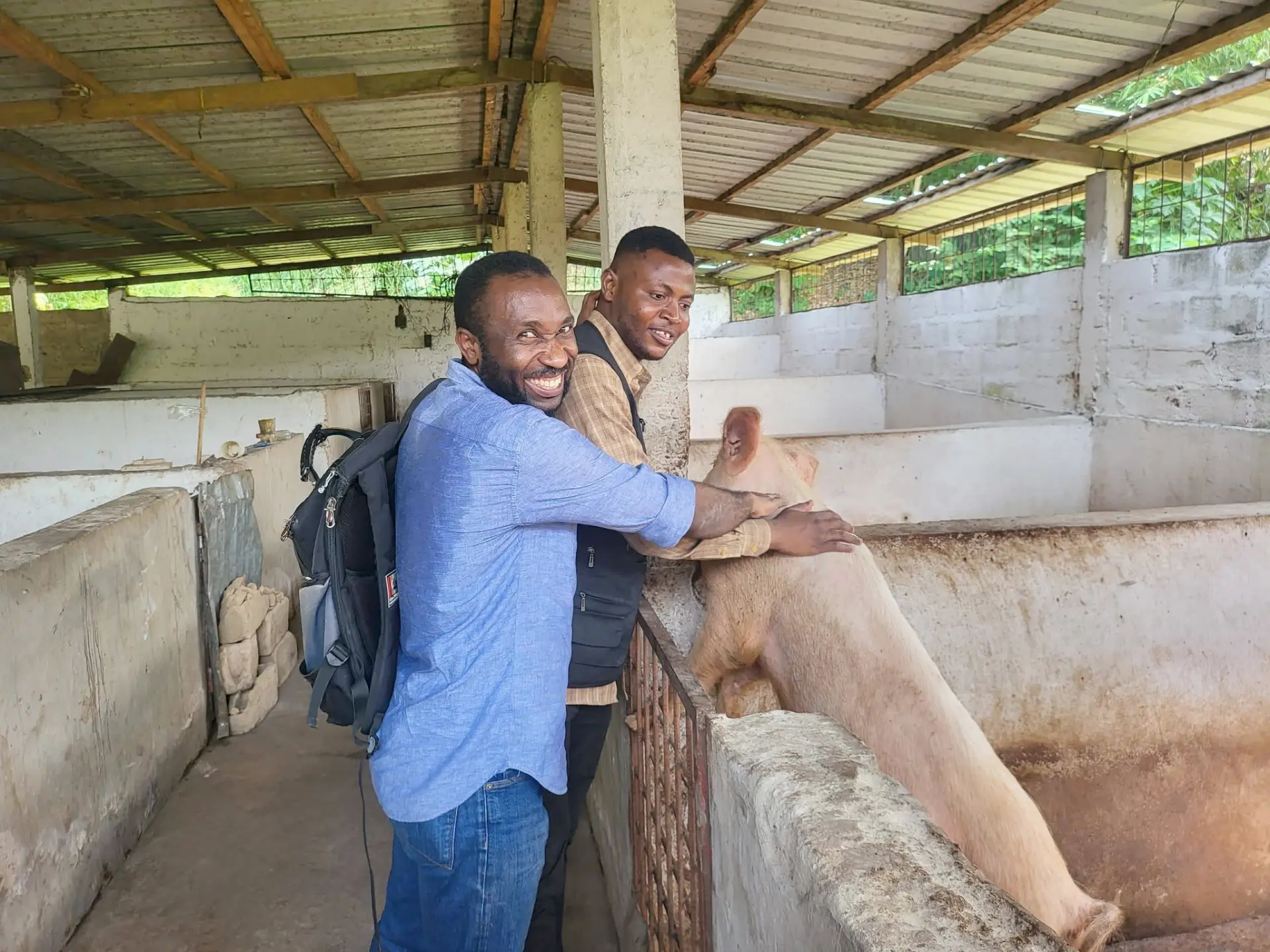 Élevage & production animale